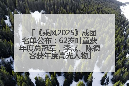 《乘风2025》成团名单公布：62岁叶童获年度总冠军，李晟、陈德容获年度高光人物