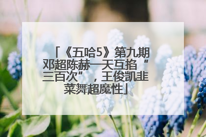 《五哈5》第九期邓超陈赫一天互掐“三百次”，王俊凯韭菜舞超魔性