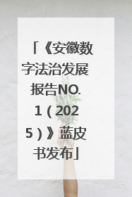 《安徽数字法治发展报告NO.1（2025）》蓝皮书发布