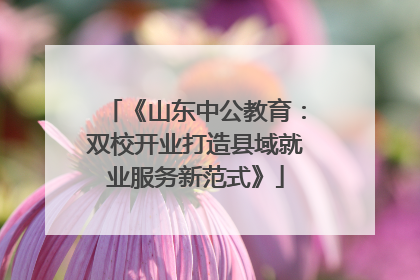 《山东中公教育：双校开业打造县域就业服务新范式》