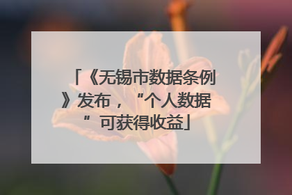 《无锡市数据条例》发布，“个人数据”可获得收益
