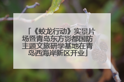 《蛟龙行动》实景片场暨青岛东方影都国防主题文旅研学基地在青岛西海岸新区开业