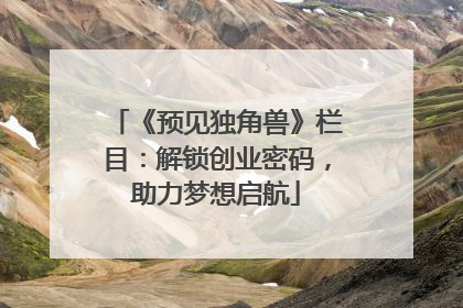 《预见独角兽》栏目：解锁创业密码，助力梦想启航