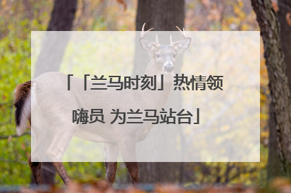 「兰马时刻」热情领嗨员 为兰马站台