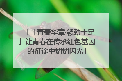 「青春华章·赣劲十足」让青春在传承红色基因的征途中熠熠闪光