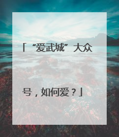 “爱武城”大众号，如何爱？