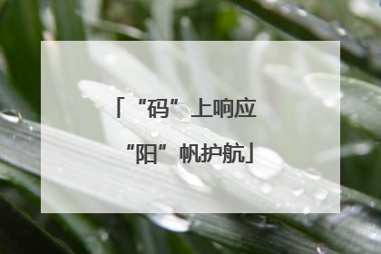 “码”上响应 “阳”帆护航