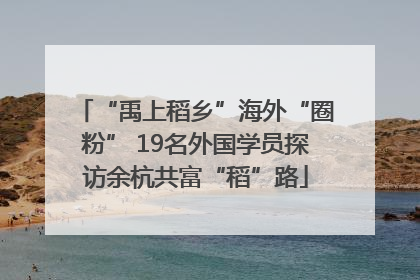 “禹上稻乡”海外“圈粉” 19名外国学员探访余杭共富“稻”路