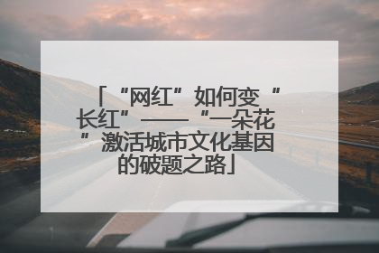 “网红”如何变“长红”——“一朵花”激活城市文化基因的破题之路