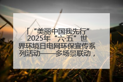 “美丽中国我先行” 2025年“六·五”世界环境日电网环保宣传系列活动——多场景联动，共筑生态发展新图景