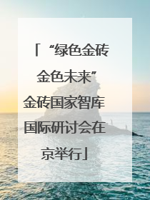 “绿色金砖 金色未来”金砖国家智库国际研讨会在京举行