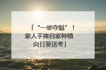 “一举夺魁”！家人手捧自家种植向日葵送考