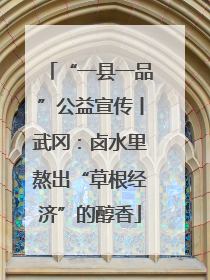 “一县一品”公益宣传丨武冈：卤水里熬出“草根经济”的醇香