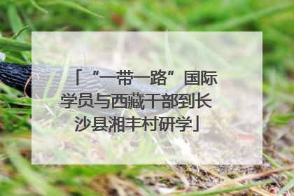 “一带一路”国际学员与西藏干部到长沙县湘丰村研学
