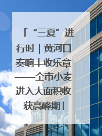 “三夏”进行时｜黄河口奏响丰收乐章——全市小麦进入大面积收获高峰期