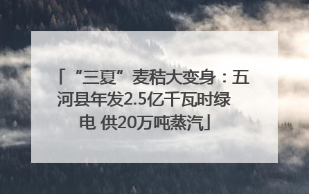 “三夏”麦秸大变身：五河县年发2.5亿千瓦时绿电 供20万吨蒸汽