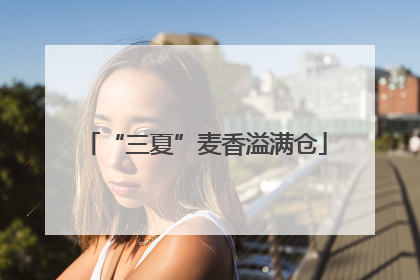 “三夏”麦香溢满仓
