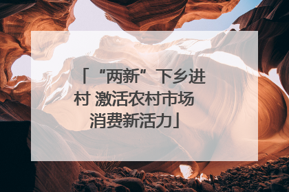 “两新”下乡进村 激活农村市场消费新活力