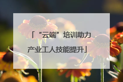 “云端”培训助力产业工人技能提升