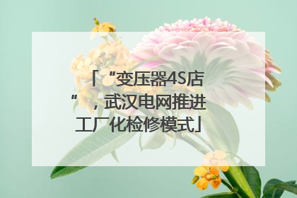 “变压器4S店”，武汉电网推进工厂化检修模式