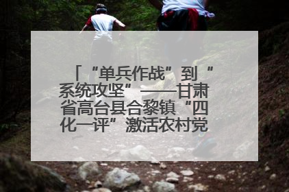 “单兵作战”到“系统攻坚”——甘肃省高台县合黎镇“四化一评”激活农村党员管理新引擎