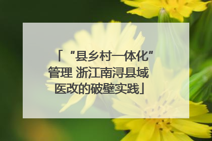 “县乡村一体化”管理 浙江南浔县域医改的破壁实践