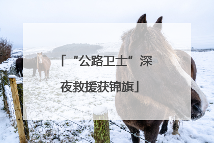 “公路卫士”深夜救援获锦旗