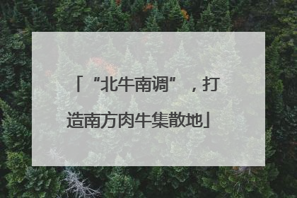 “北牛南调”，打造南方肉牛集散地