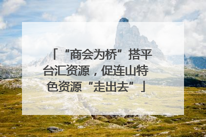 “商会为桥”搭平台汇资源，促连山特色资源“走出去”