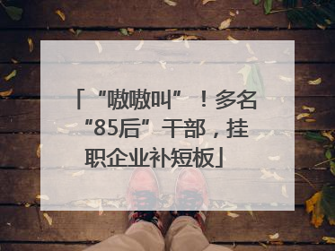 “嗷嗷叫”！多名“85后”干部，挂职企业补短板