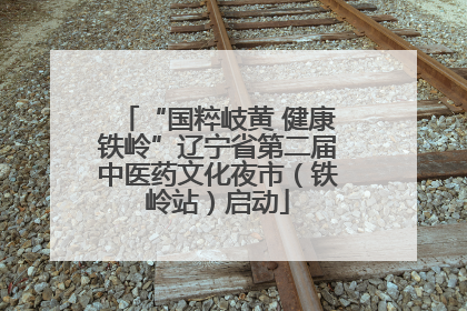 “国粹岐黄 健康铁岭”辽宁省第二届中医药文化夜市（铁岭站）启动