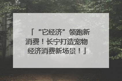 “它经济”领跑新消费！长宁打造宠物经济消费新场景！