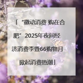 “徽动消费 购在合肥”2025年夜间经济消费季暨66购物月掀起消费热潮