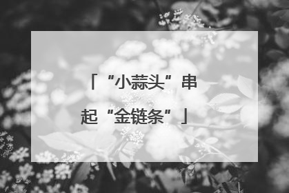 “小蒜头”串起“金链条”
