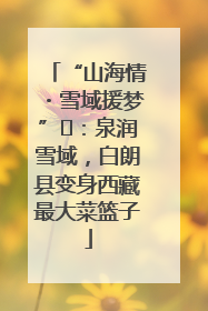 “山海情・雪域援梦”⑪：泉润雪域，白朗县变身西藏最大菜篮子