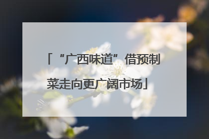 “广西味道”借预制菜走向更广阔市场