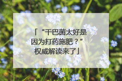 “干巴菌太好是因为打药施肥？”权威解读来了