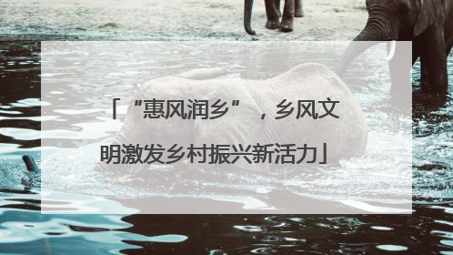“惠风润乡”，乡风文明激发乡村振兴新活力