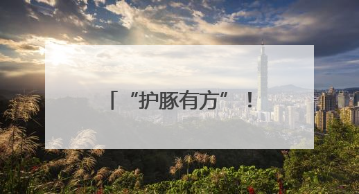 “护豚有方”！厦门这群人组成了一支“海上大熊猫”守护者联盟
