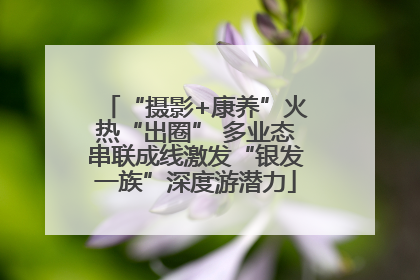 “摄影+康养”火热“出圈” 多业态串联成线激发“银发一族”深度游潜力
