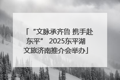 “文脉承齐鲁 携手赴东平” 2025东平湖文旅济南推介会举办