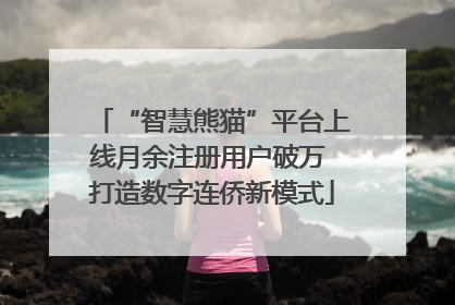 “智慧熊猫”平台上线月余注册用户破万 打造数字连侨新模式