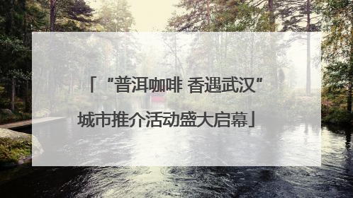 “普洱咖啡 香遇武汉”城市推介活动盛大启幕