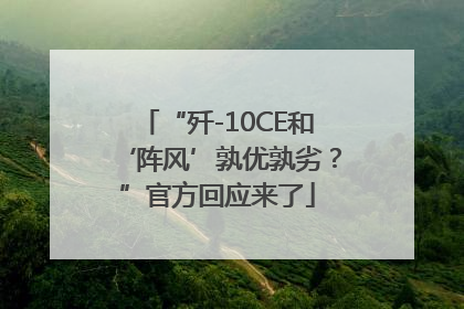 “歼-10CE和‘阵风’孰优孰劣？”官方回应来了