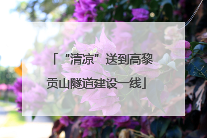“清凉”送到高黎贡山隧道建设一线
