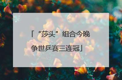“莎头”组合今晚争世乒赛三连冠