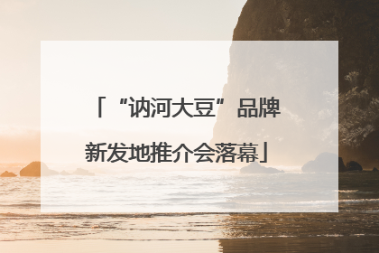 “讷河大豆”品牌新发地推介会落幕