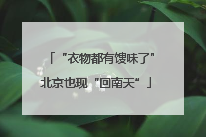 “衣物都有馊味了”北京也现“回南天”