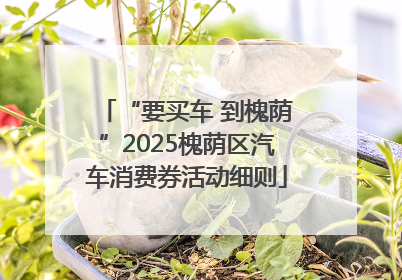 “要买车 到槐荫”2025槐荫区汽车消费券活动细则