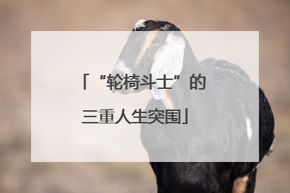 “轮椅斗士”的三重人生突围